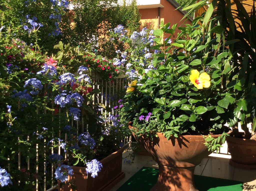 Hotel Donatello Cesenatico